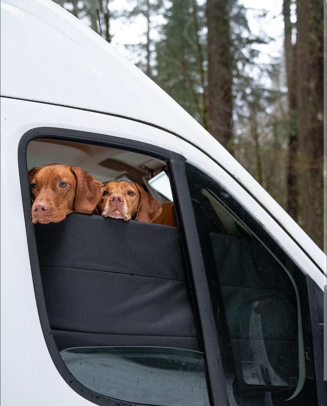 Van Essentials