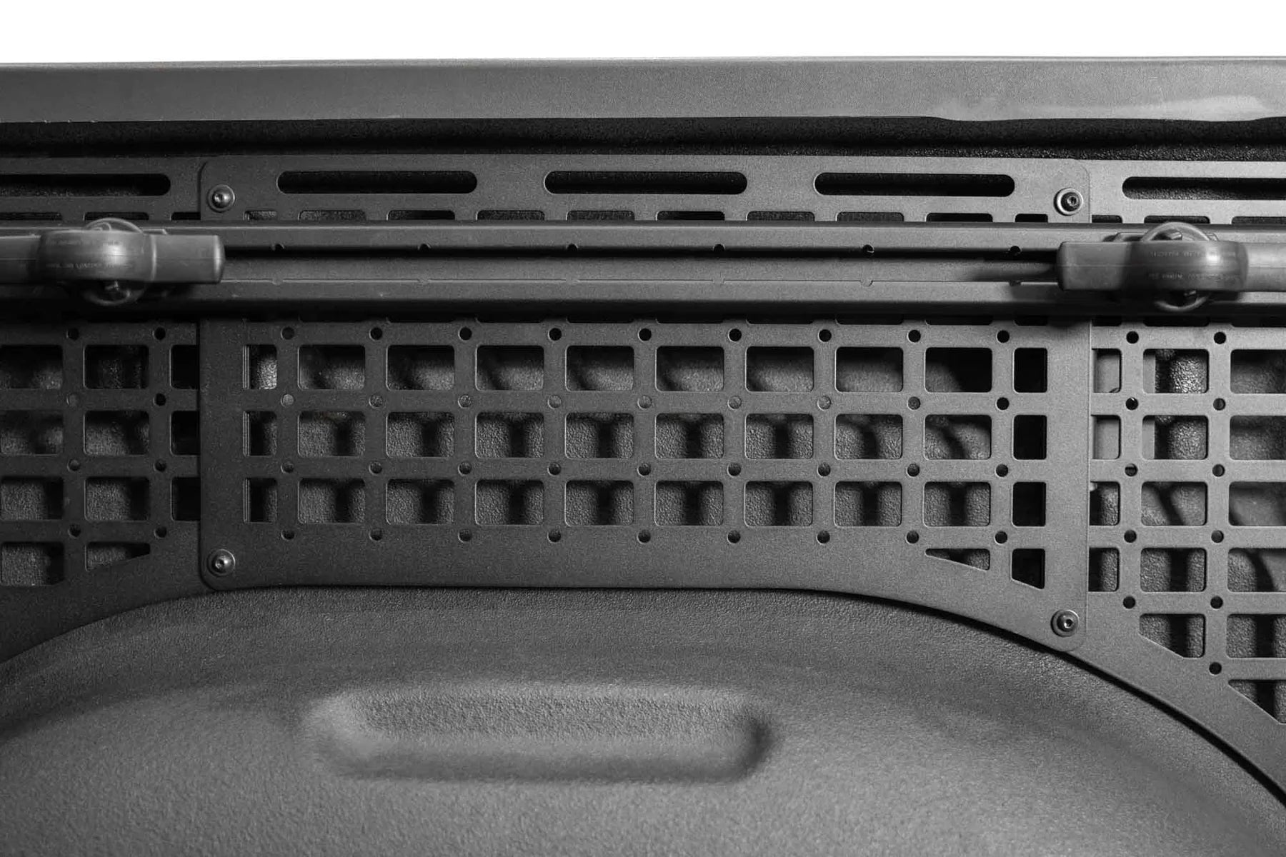 2019-2025 Ram 1500, TRX, & 2025 RHO Bed Side Molle Panels
