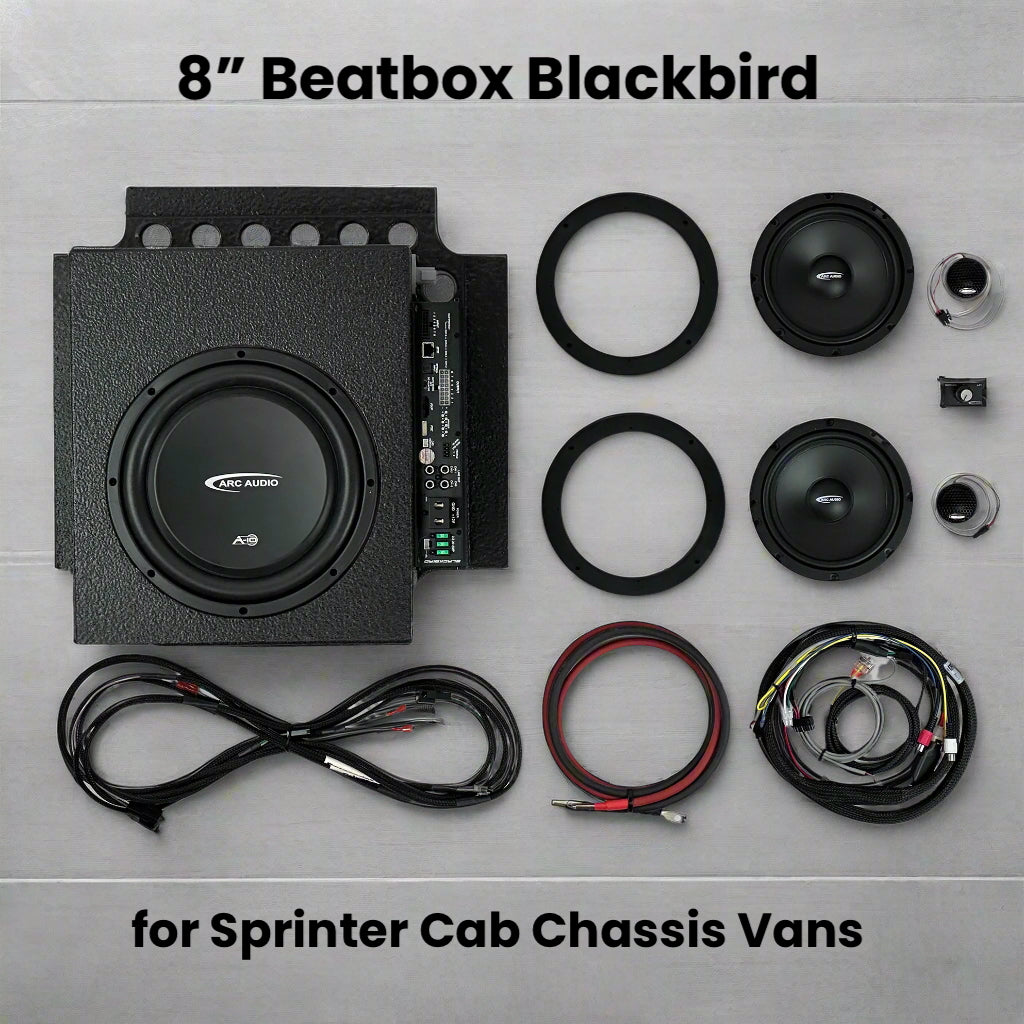 New! 8" Beatbox Blackbird