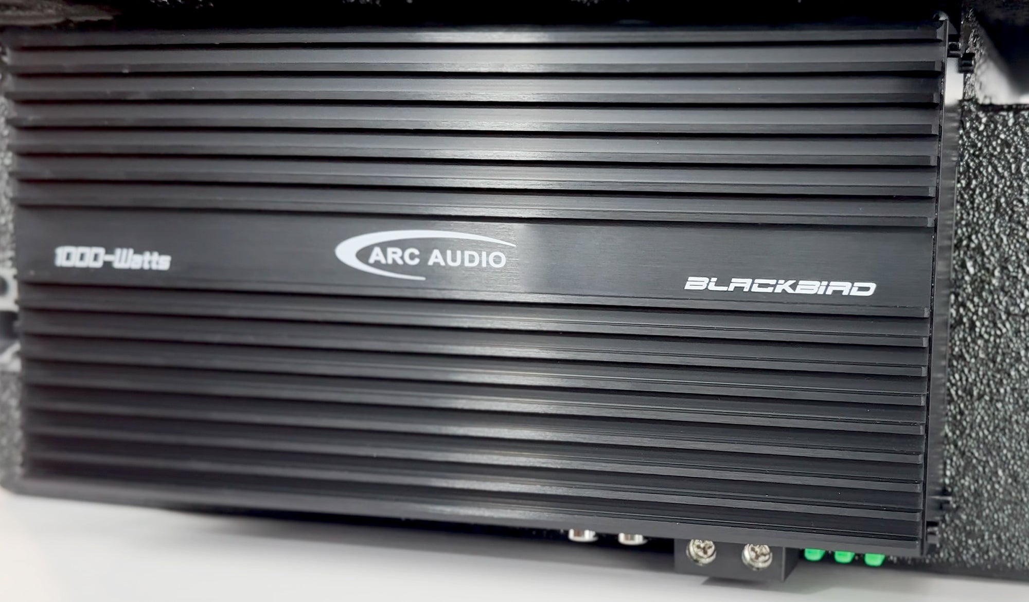 New! 8" Beatbox Blackbird