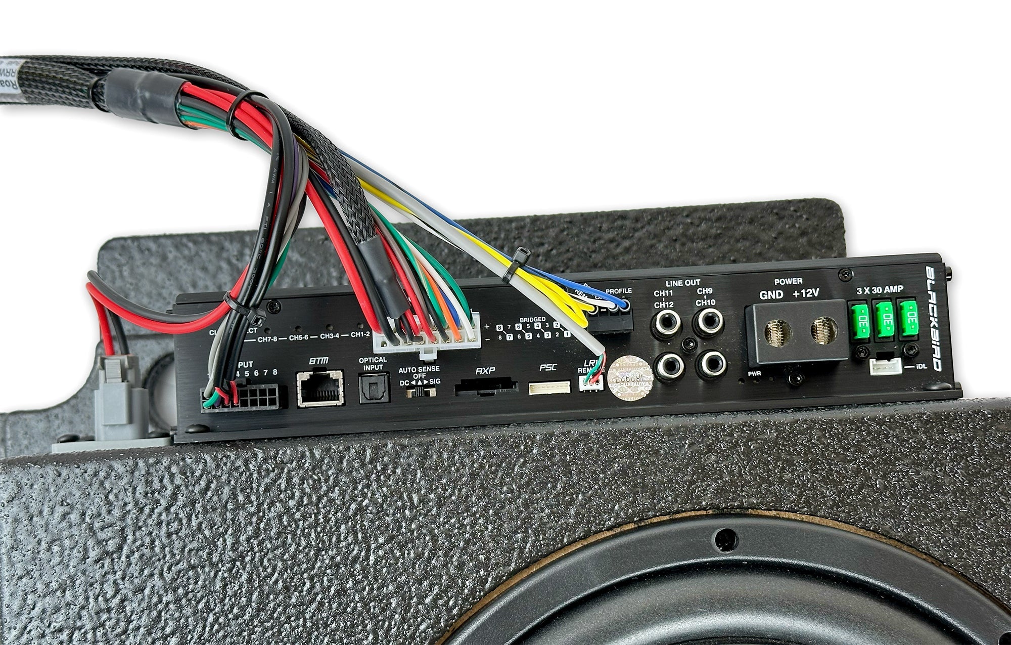 New! 8" Beatbox Blackbird