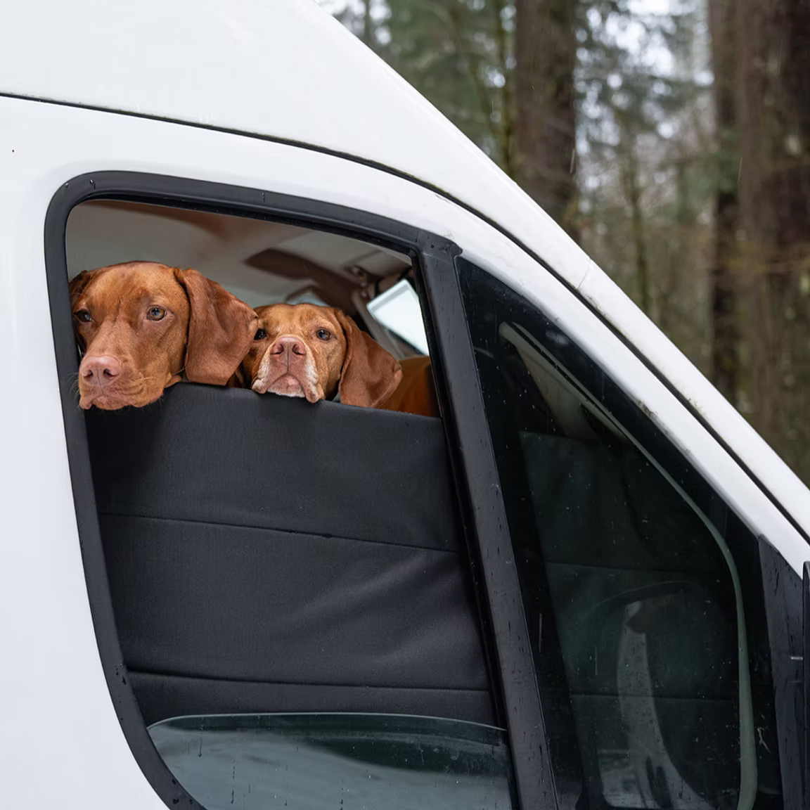 Promaster Stealth Front Door Window Covers (Pair)