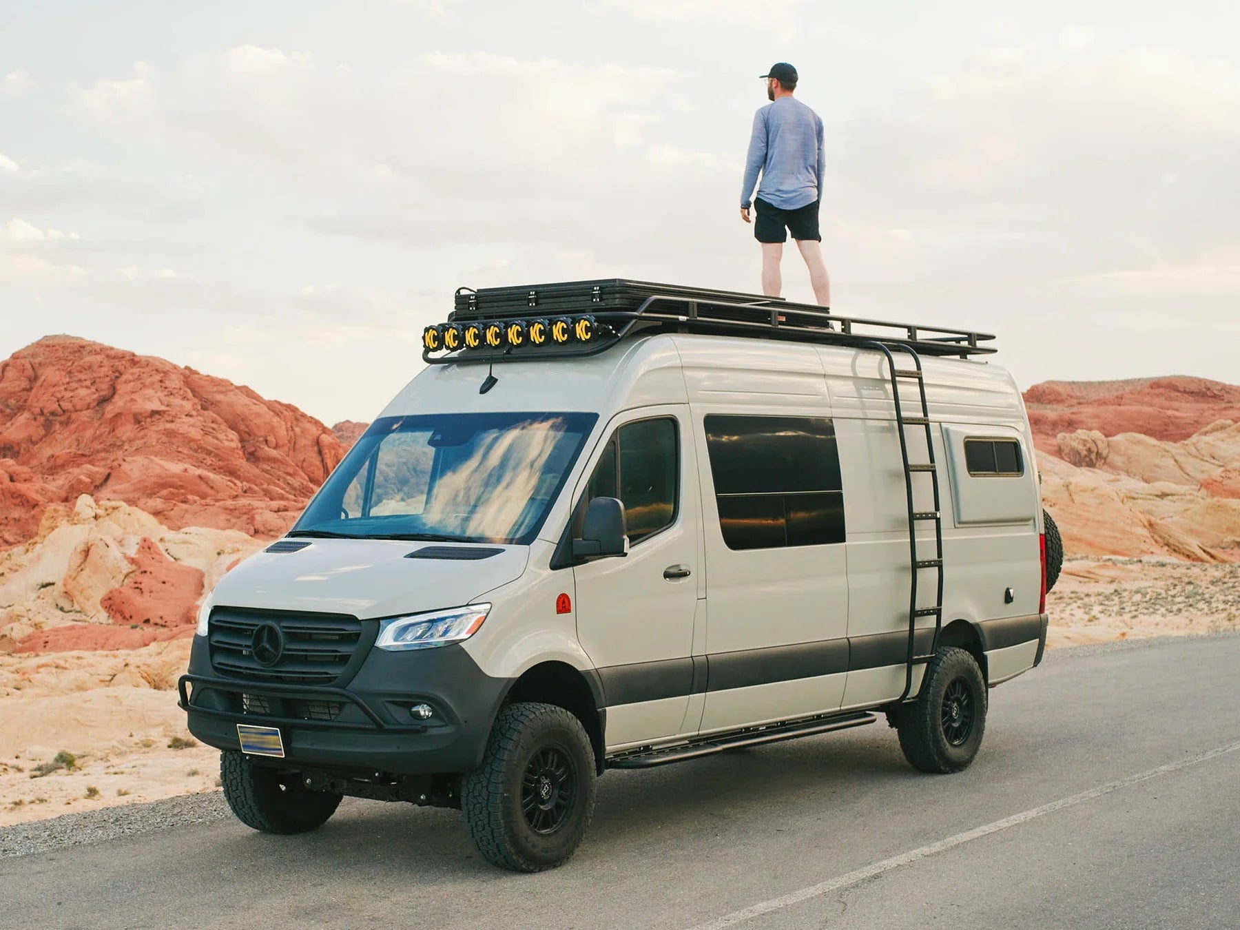 Sprinter Van Apex Side Ladder
