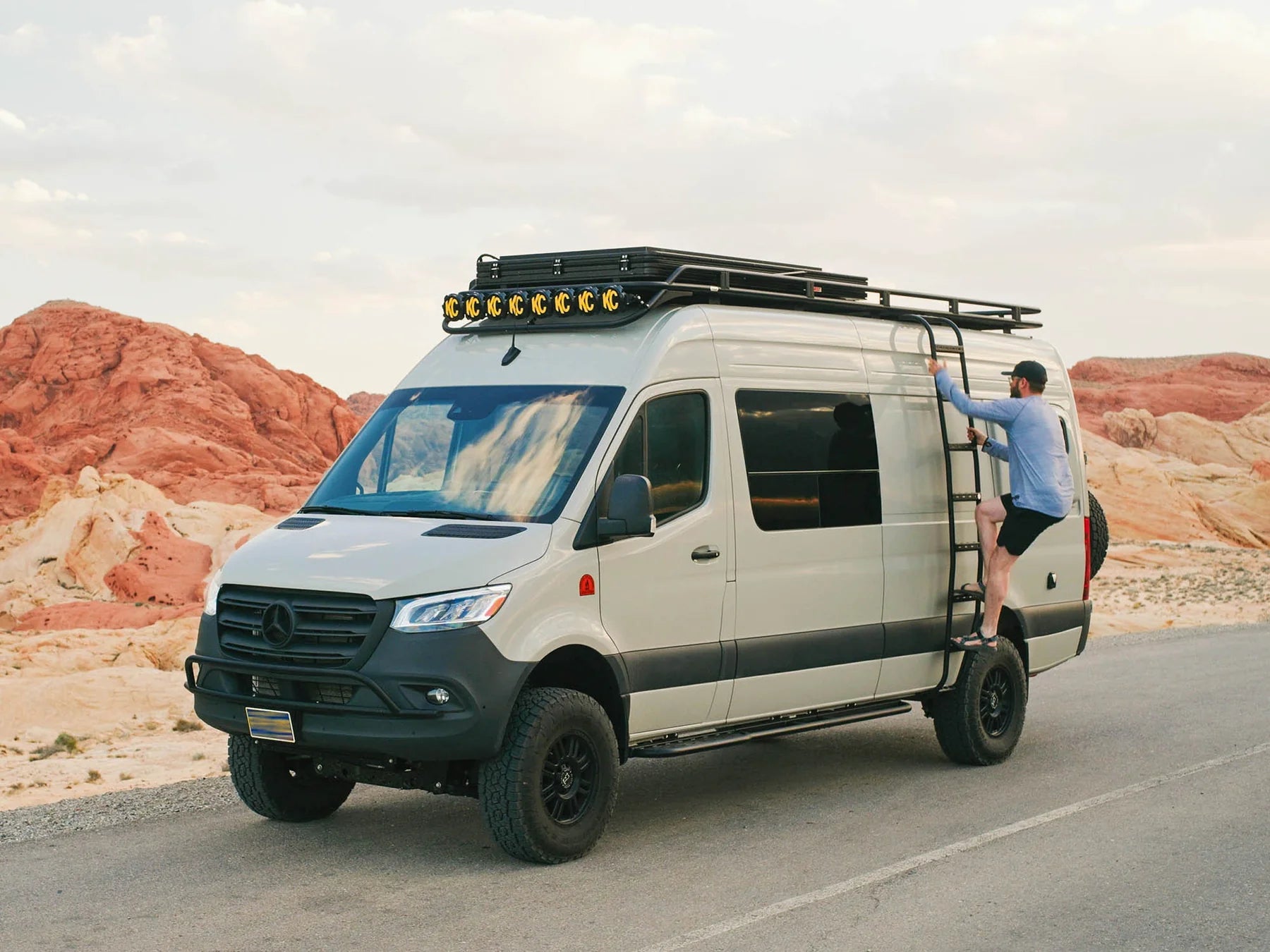 Sprinter Van Apex Side Ladder