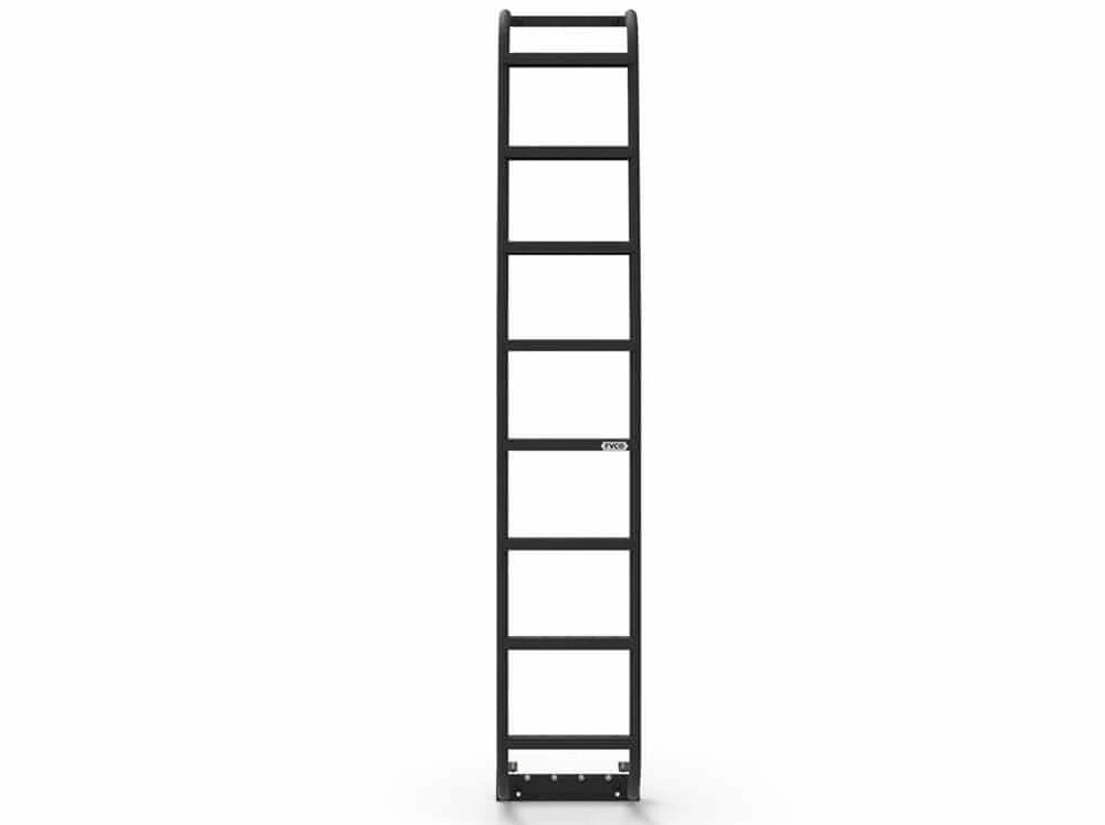 Load video: Promaster Side Ladder